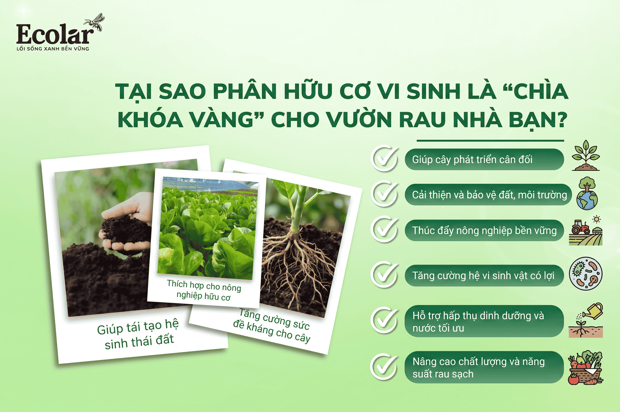 a-chia-khoa-vang-cho-vuon-rau-nha-ban_34716dbc38c84a209dc1427c0601db61.png