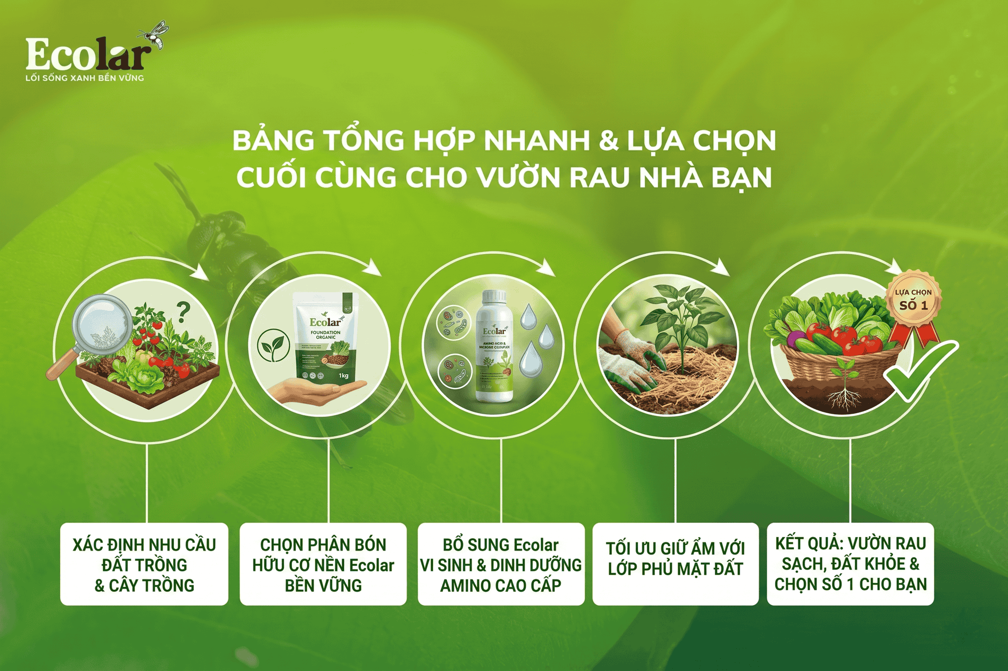 a-chon-cuoi-cung-cho-vuon-rau-nha-ban (1).png