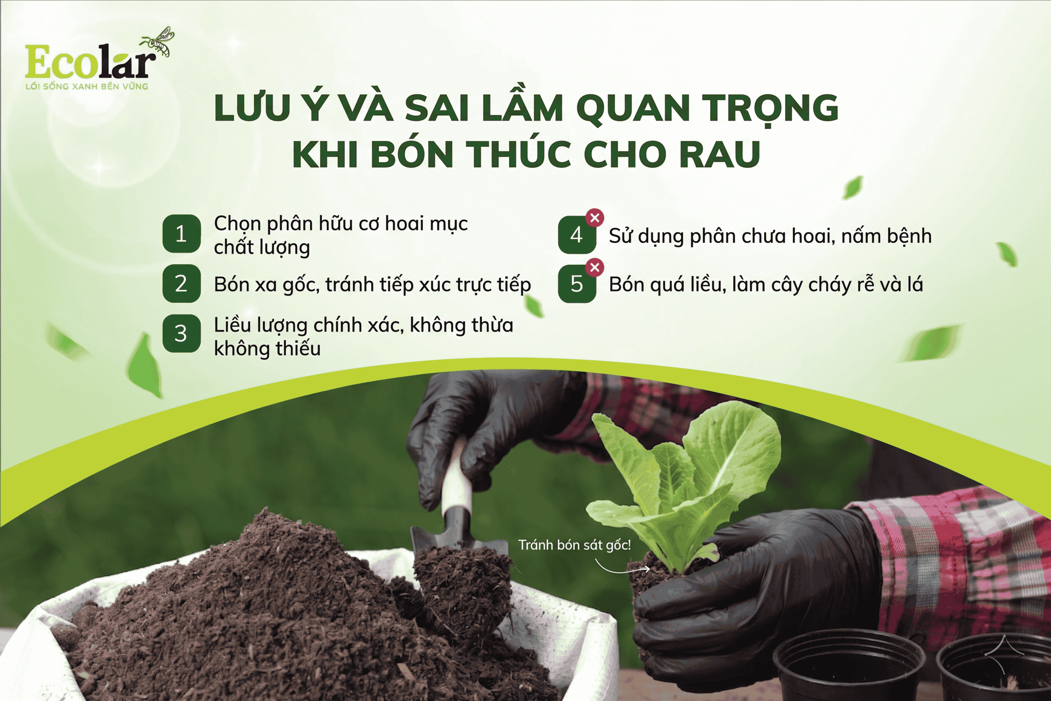 ai-lam-can-tranh-khi-bon-thuc-cho-rau_b3669bc7873a4f0db9c0059488b9f727.png