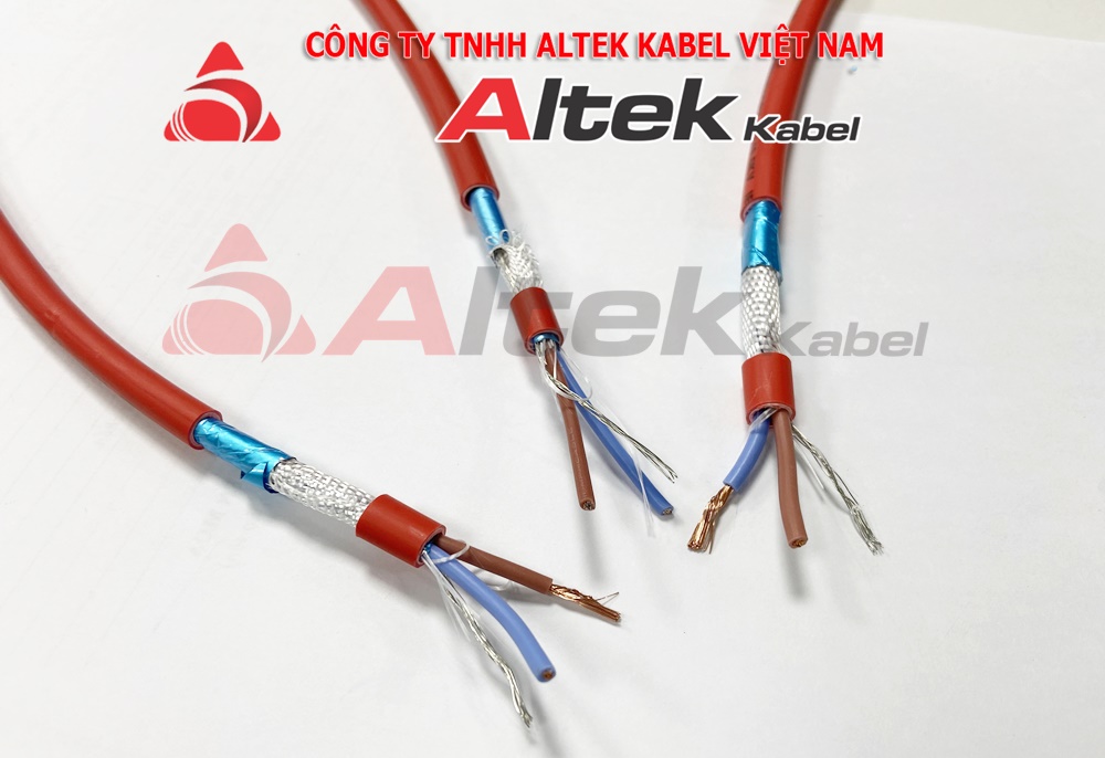 ALTEK03.jpg
