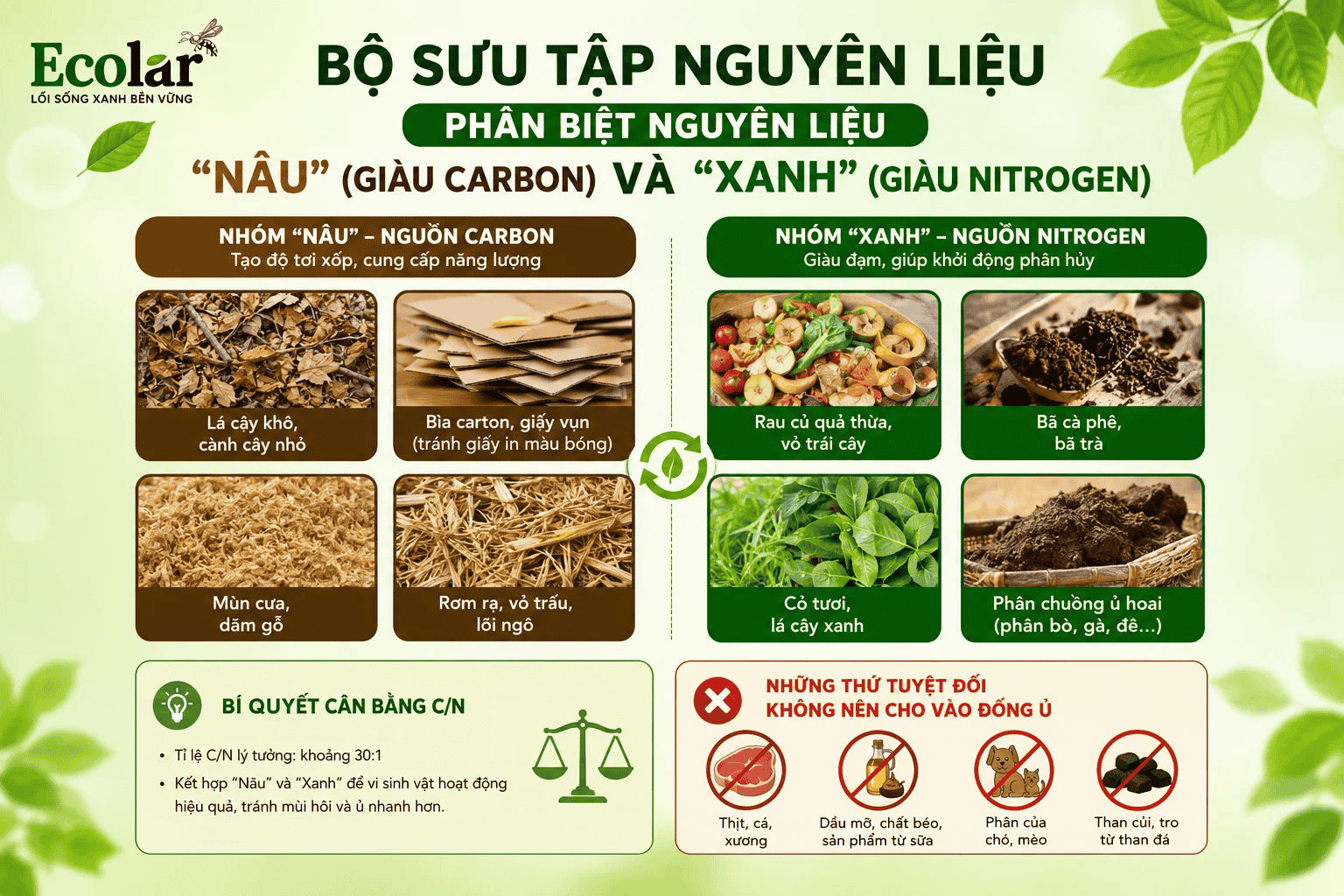 au-giau-carbon-va-xanh-giau-nitrogen__4280c3cdae1b4eb8b57f70a58ac29516 (1).png