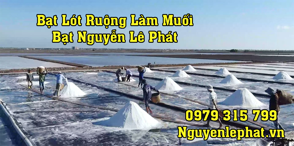 bat-lot-ruong-lam-muoi.jpg