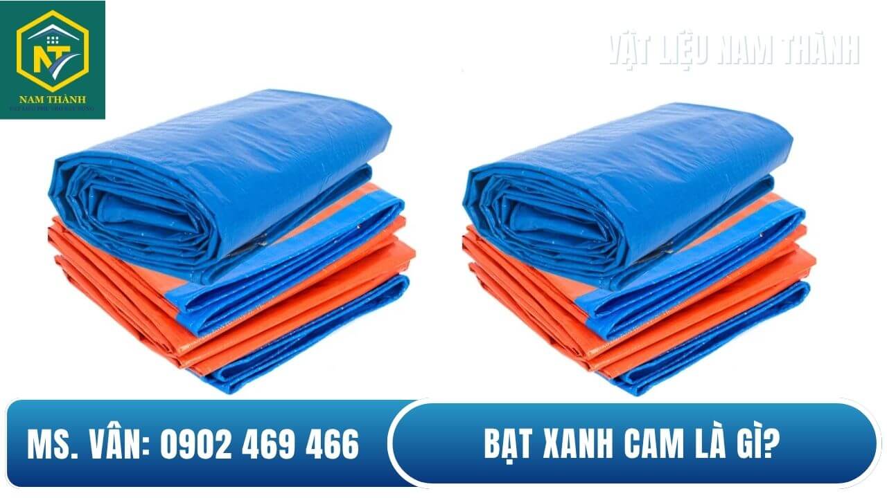 bat-xanh-cam-la-gi.jpg