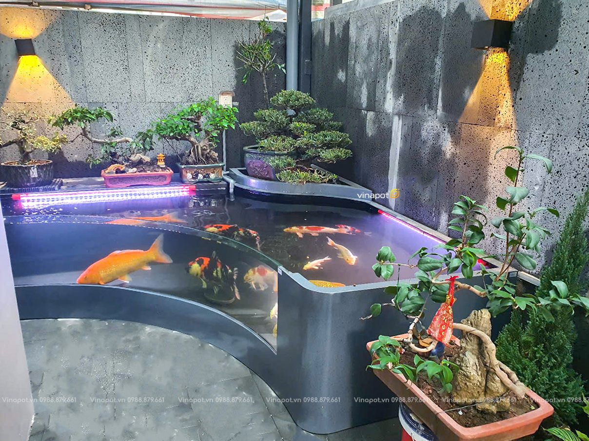 bể cá kính cong composite siêu khủng tại Ocean Park 3 (7).jpg