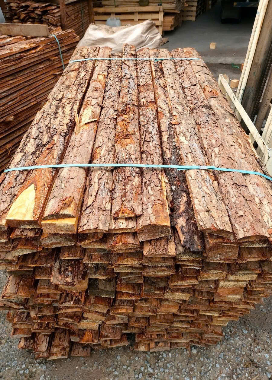 bìa gỗ thông.jpg