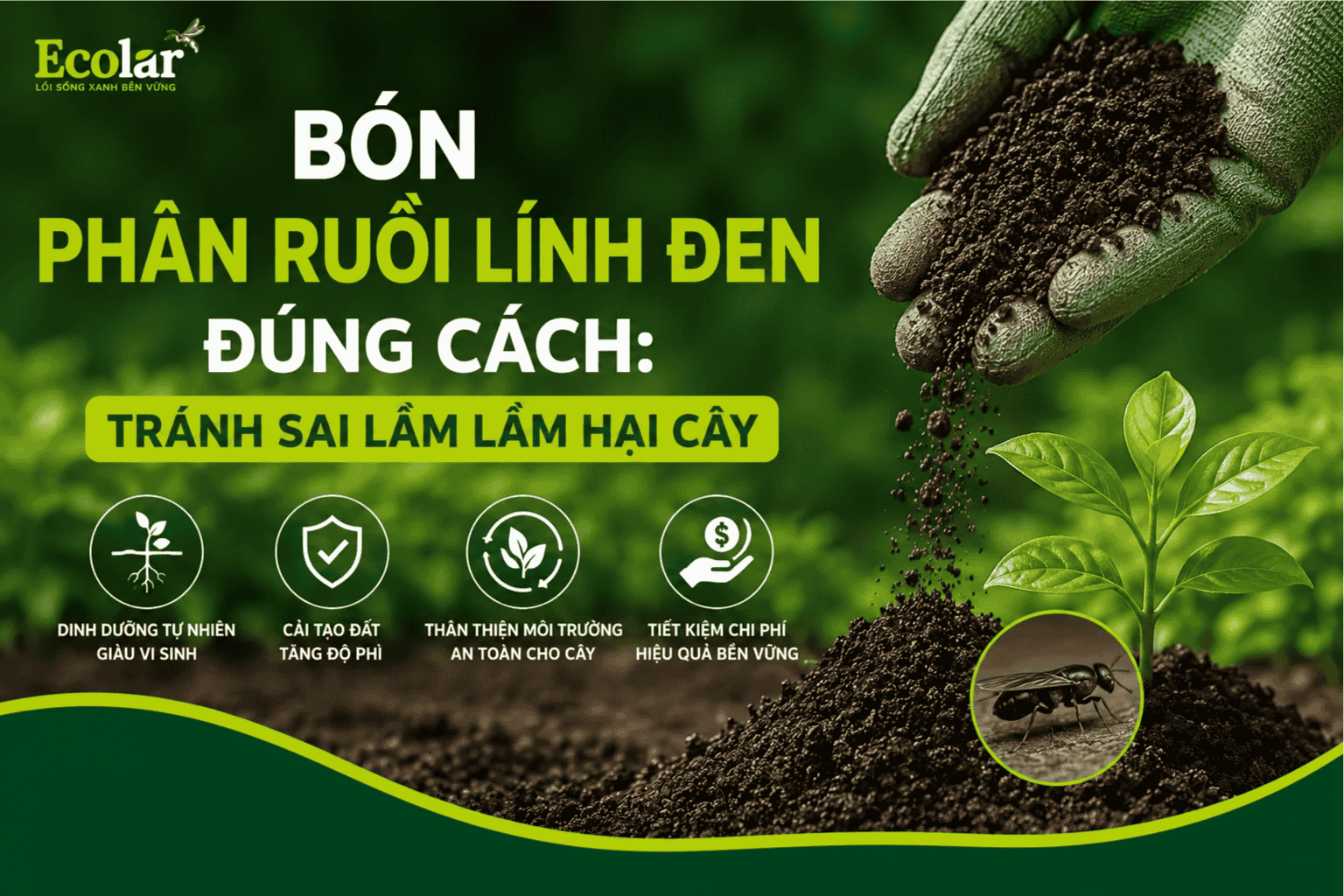 bon-phan-ruoi-linh-den-dung-cach-tranh-sai-lam-lam-hai-cay_02e5ffa62e1f46a9afd33df100470882 (1).png