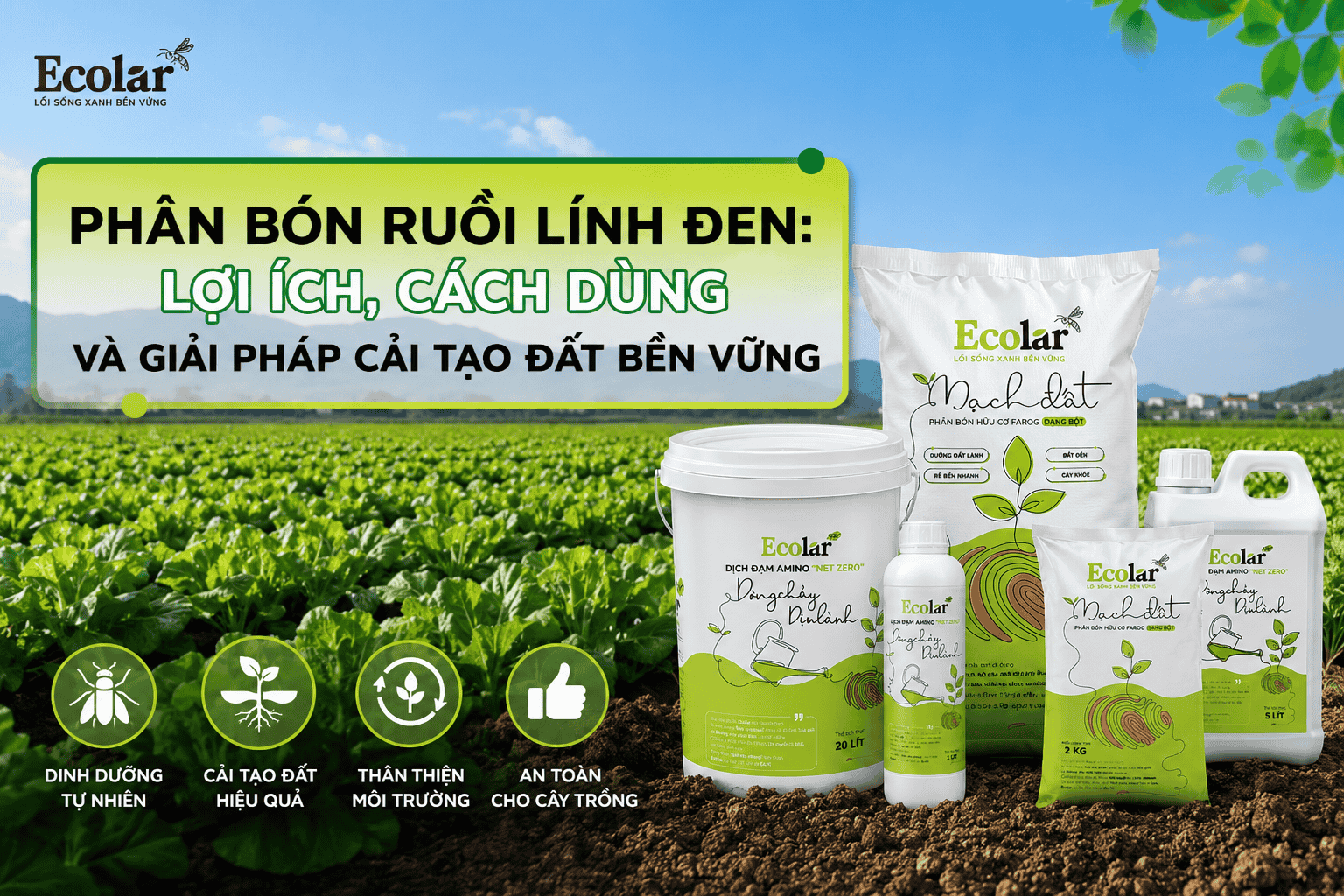 -bon-ruoi-linh-den-loi-ich-cach-dung-va-giai-phap-cai-tao-dat-ben-vung.png