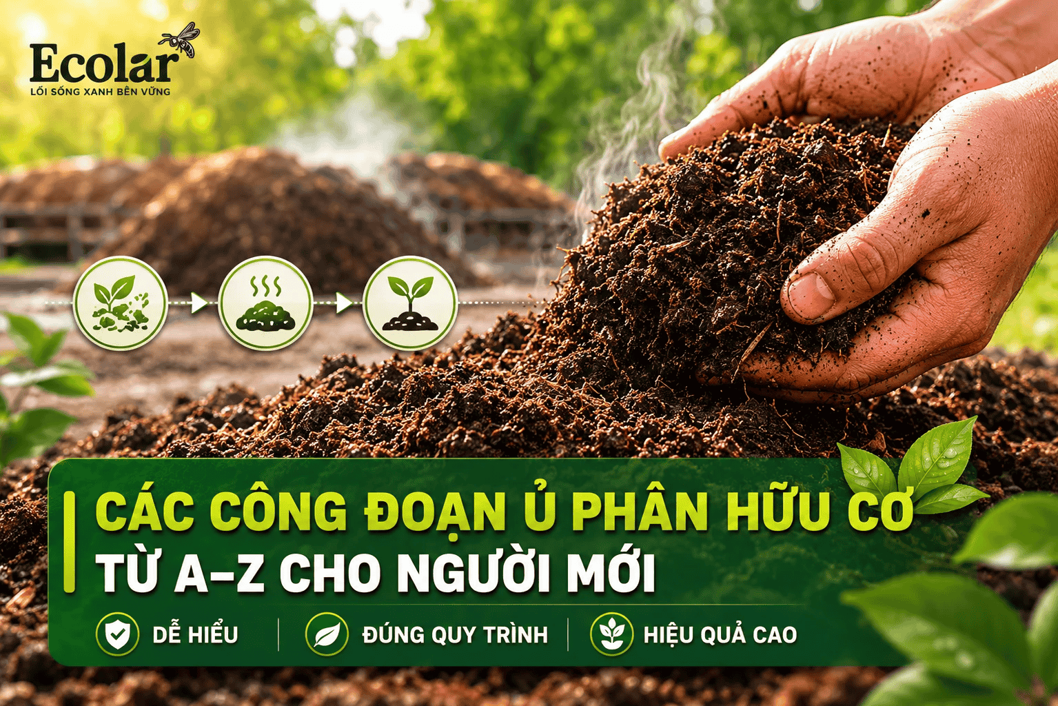 cac-cong-doan-u-phan-huu-co-tu-a-z-cho-nguoi-moi_.png