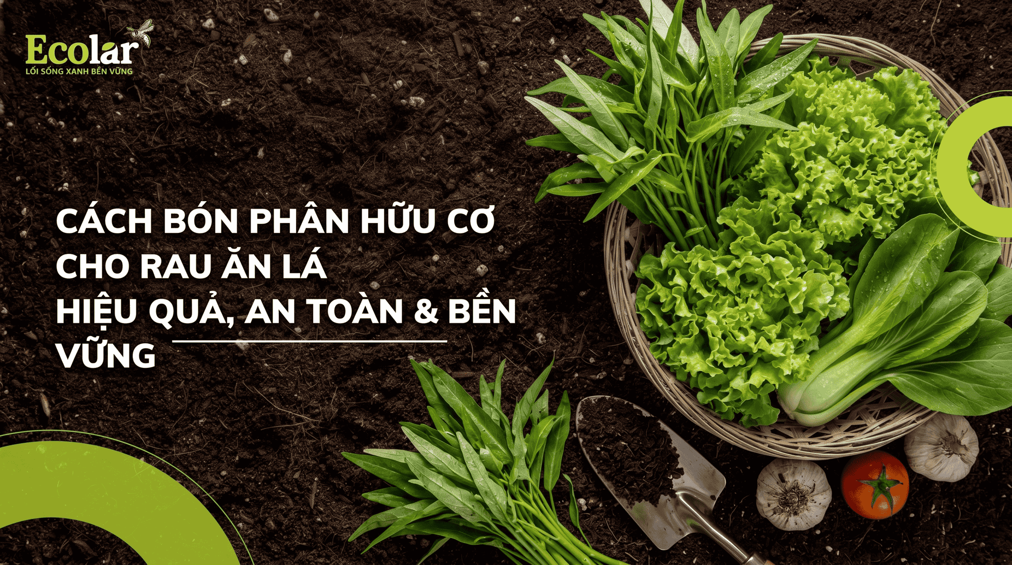 cach-bon-phan-huu-co-cho-rau-an-la-dung-cach-va-hieu-qua_e98023a00fcb4f74b5c063df08c757b0 (1).png