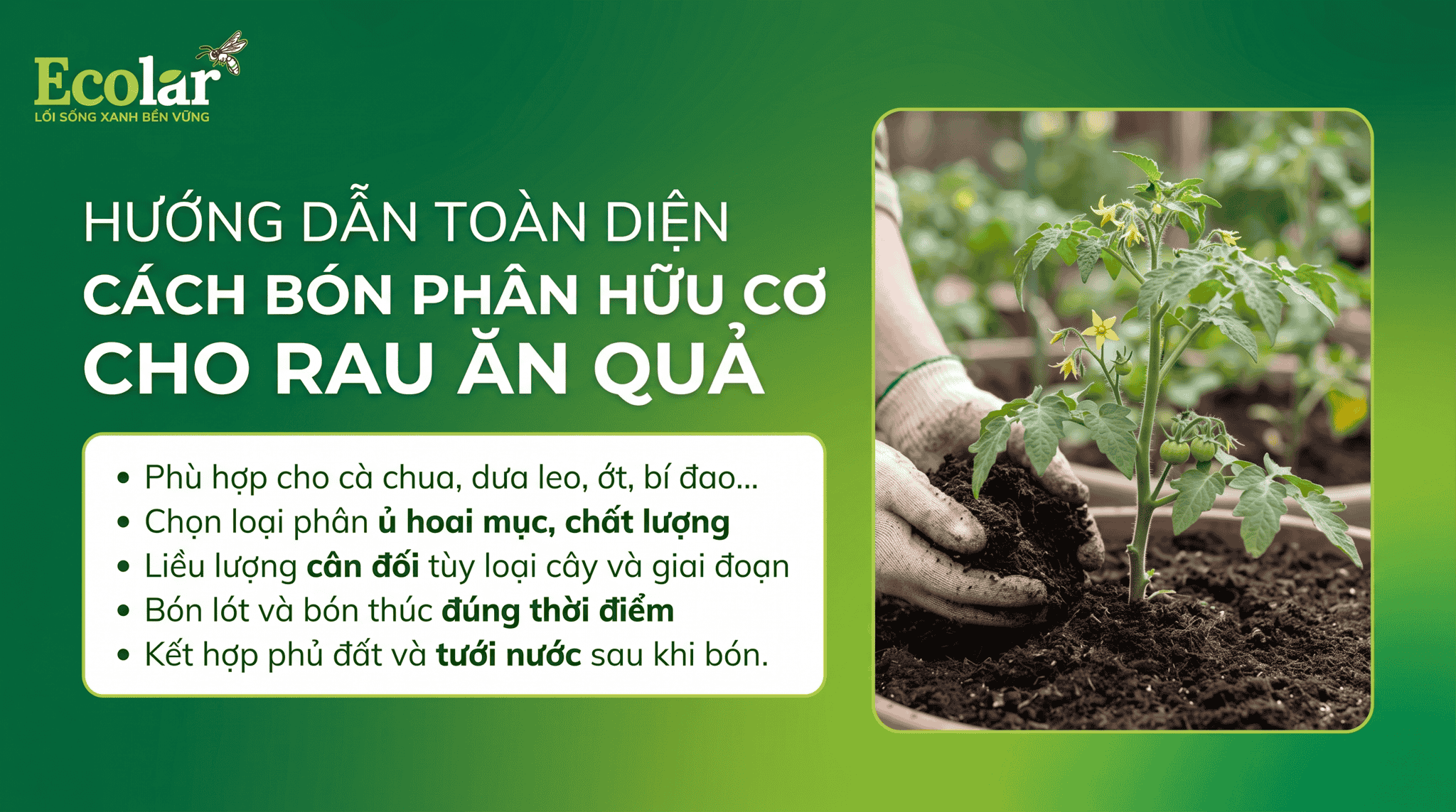 cach-bon-phan-huu-co-cho-rau-an-qua-theo-tung-giai-doan-phat-trien_6b3a1e41bd174de6b5d48ff305b...png