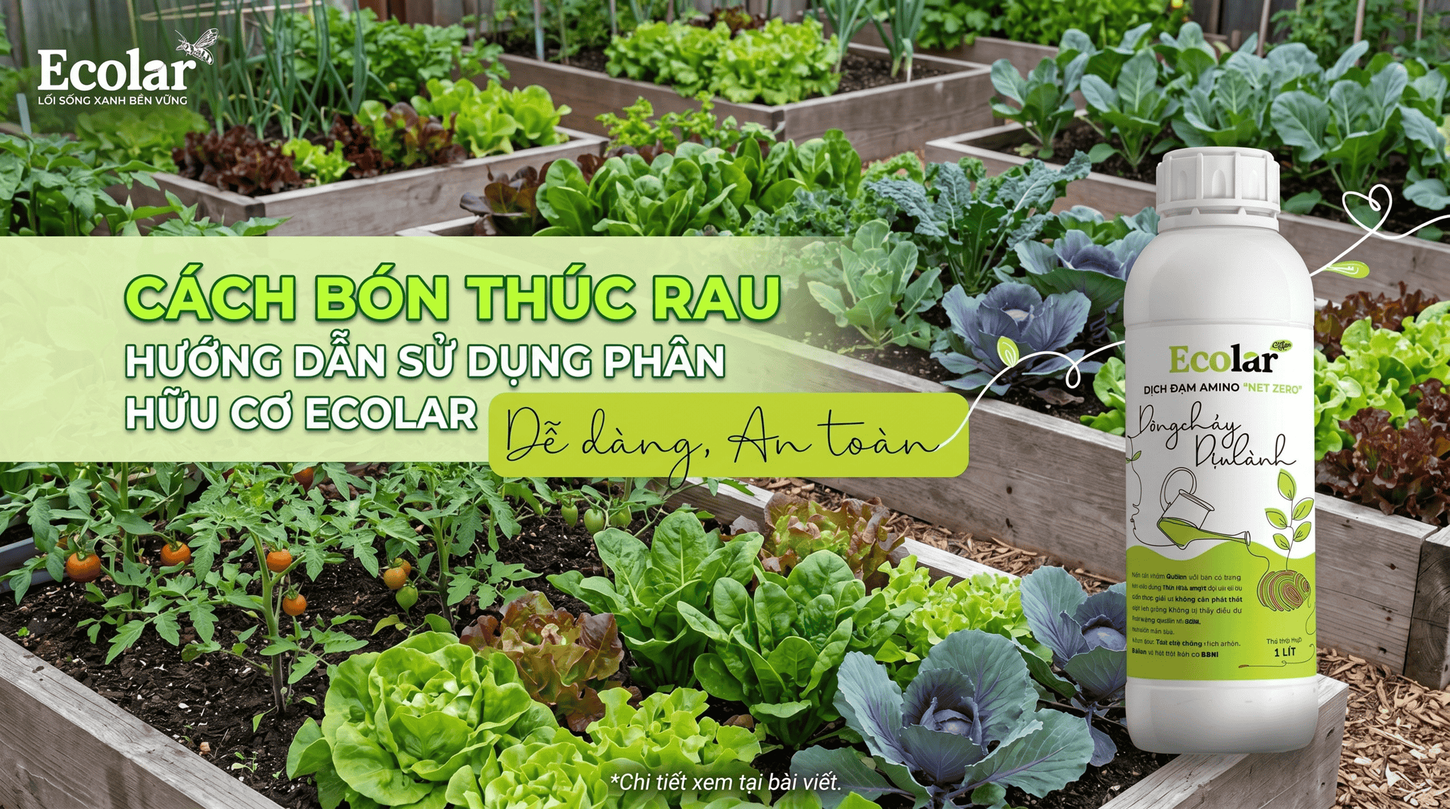 cach-bon-thuc-rau-bang-phan-huu-co-dung-cach-sau-khi-trong_f57d6ba393314ca48015faf05c0a5638.png