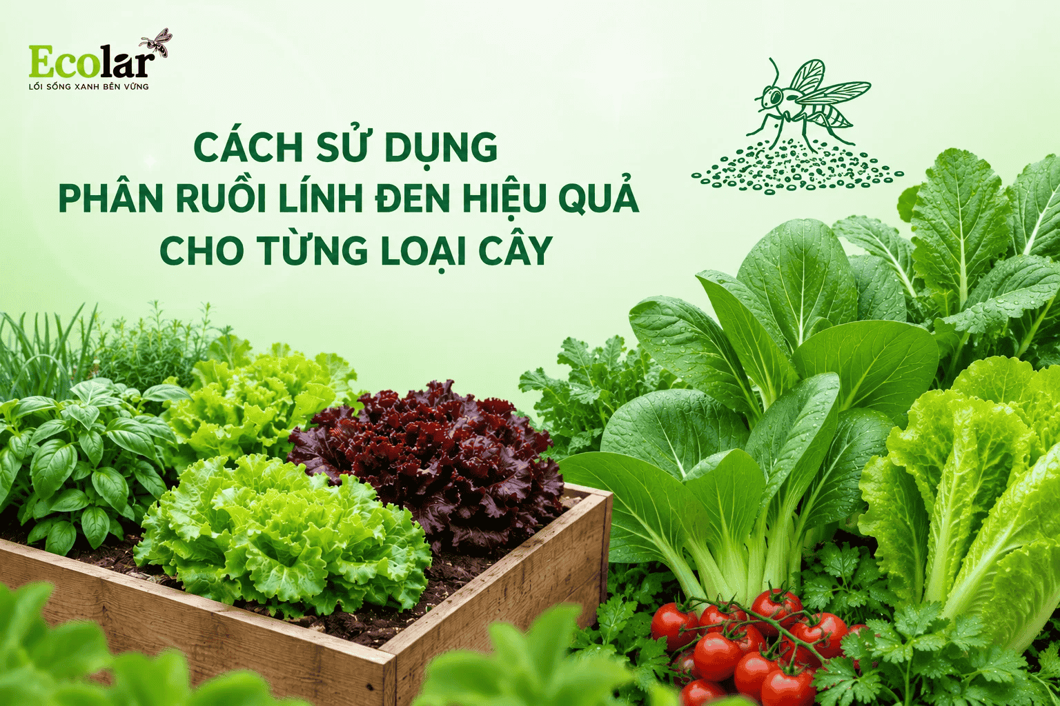 cach-su-dung-phan-ruoi-linh-den-hieu-qua-cho-tung-loai-cay_e2eb4626e5f046d7bb91e5ed88bd4a76 (1).png