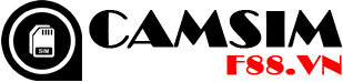 camsim.png