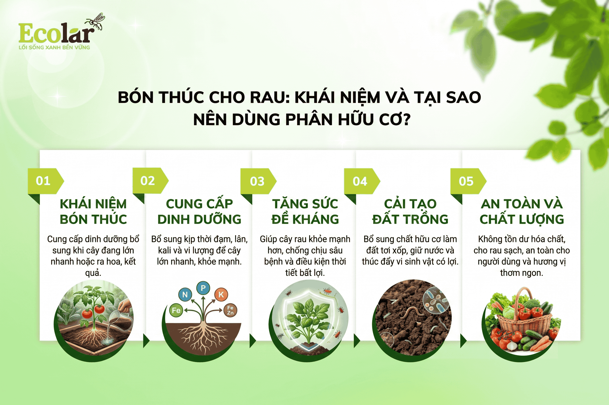 can-bon-thuc-cho-rau-bang-phan-huu-co_c32cabd212b94f31a2ea542f5a37baec.png