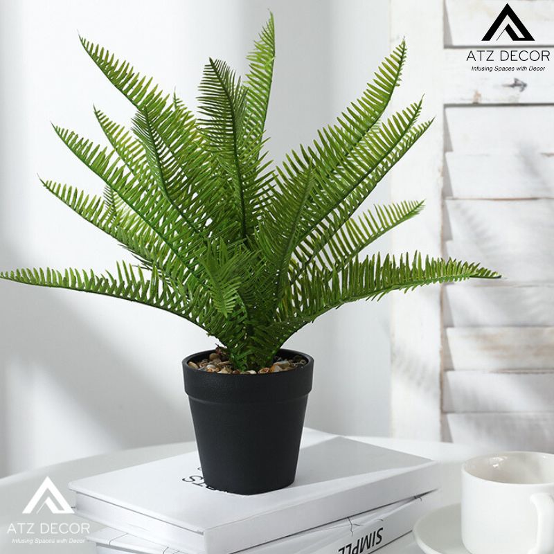cây dương xỉ giả để bàn decor bắt mắt.jpg