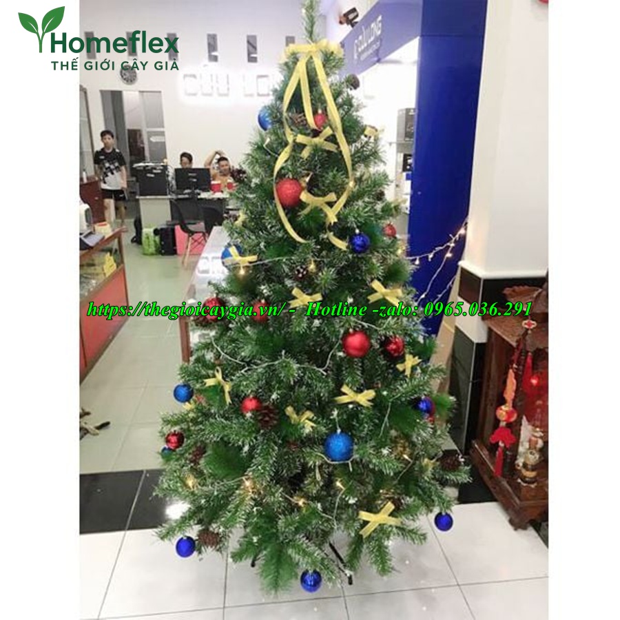 cay-thong-noel-gia-8.jpg