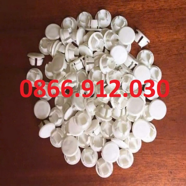 chup-nhua-dau-vit.jpg