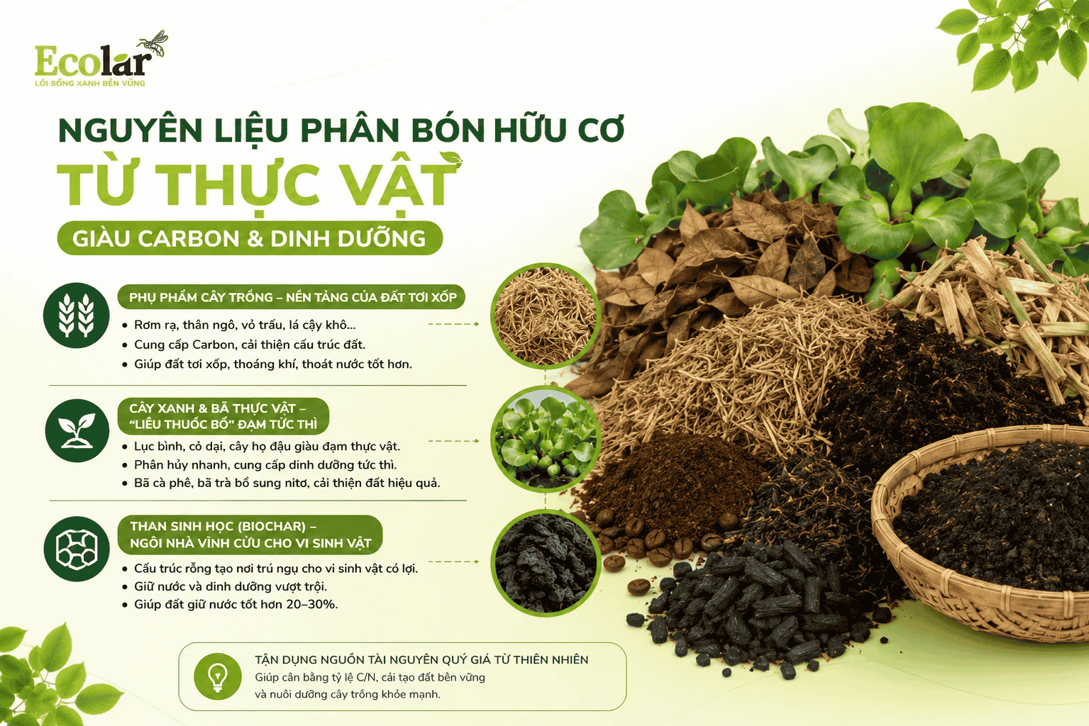 co-tu-thuc-vat-giau-carbon-dinh-duong_09e6da390f6344e7801b76fce2ca2703 (1).png