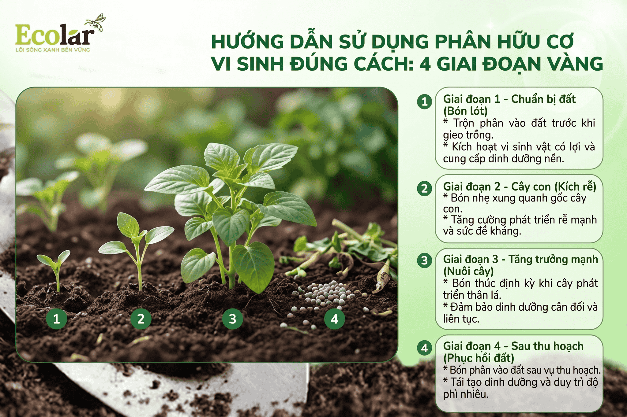 co-vi-sinh-dung-cach-4-giai-doan-vang_451a1fc9987f4a2388174fad8f876344.png