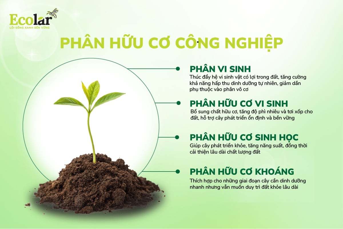 công nghiệp.jpg