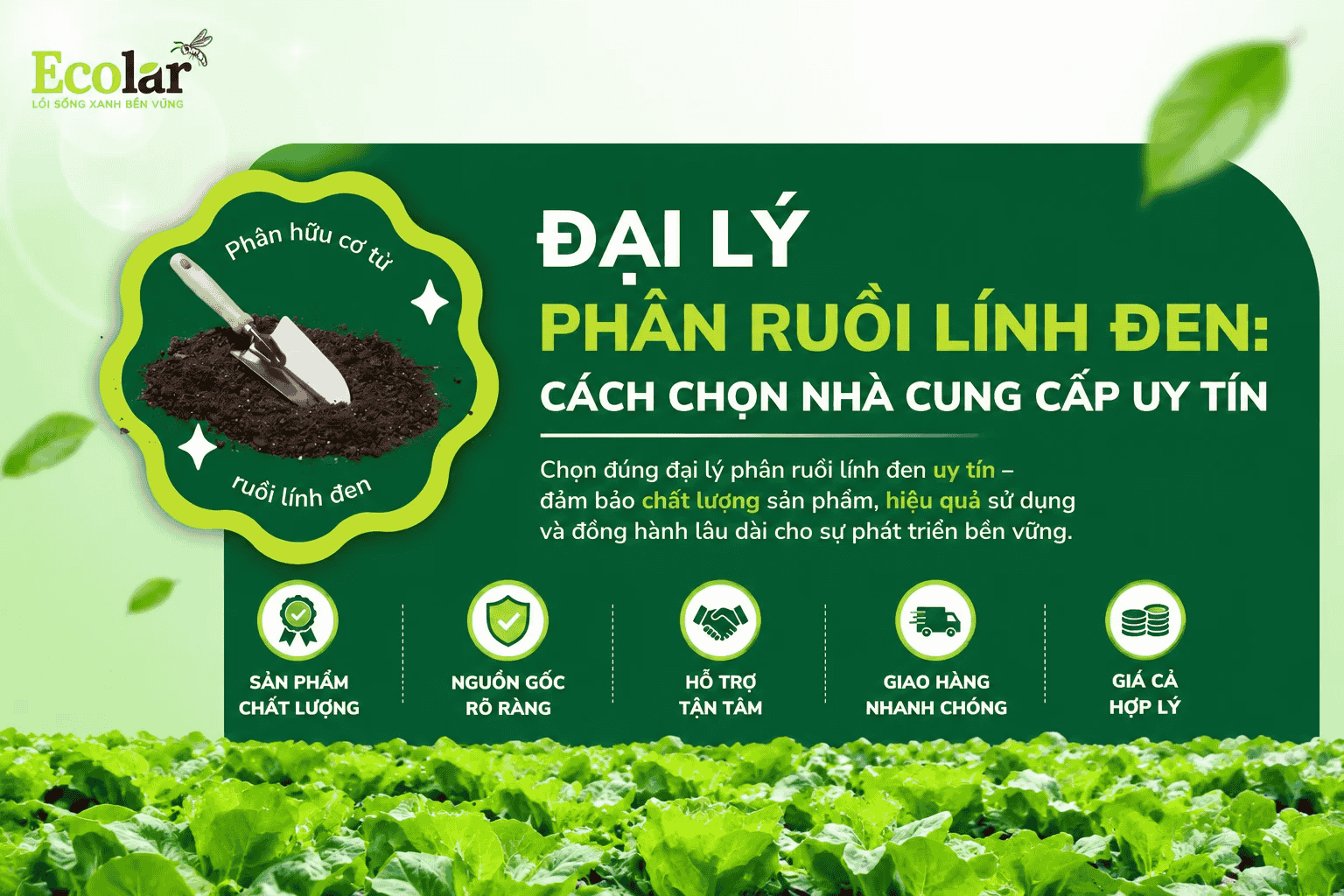 dai-ly-phan-ruoi-linh-den-cach-chon-nha-cung-cap-uy-tin.png