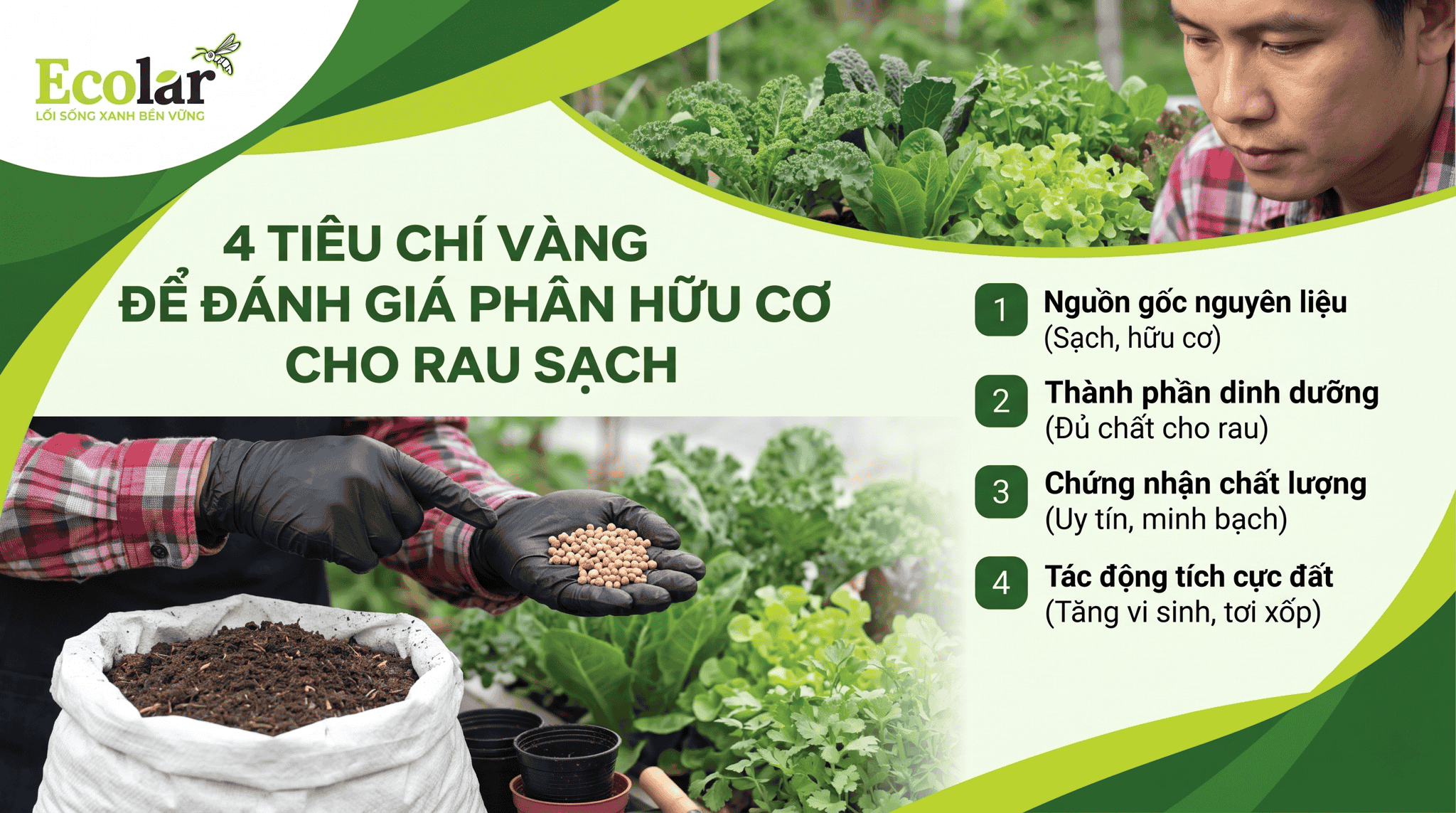 -de-danh-gia-phan-huu-co-cho-rau-sach_66831b7b665f4d75b79736cdc597ab39 (1).png