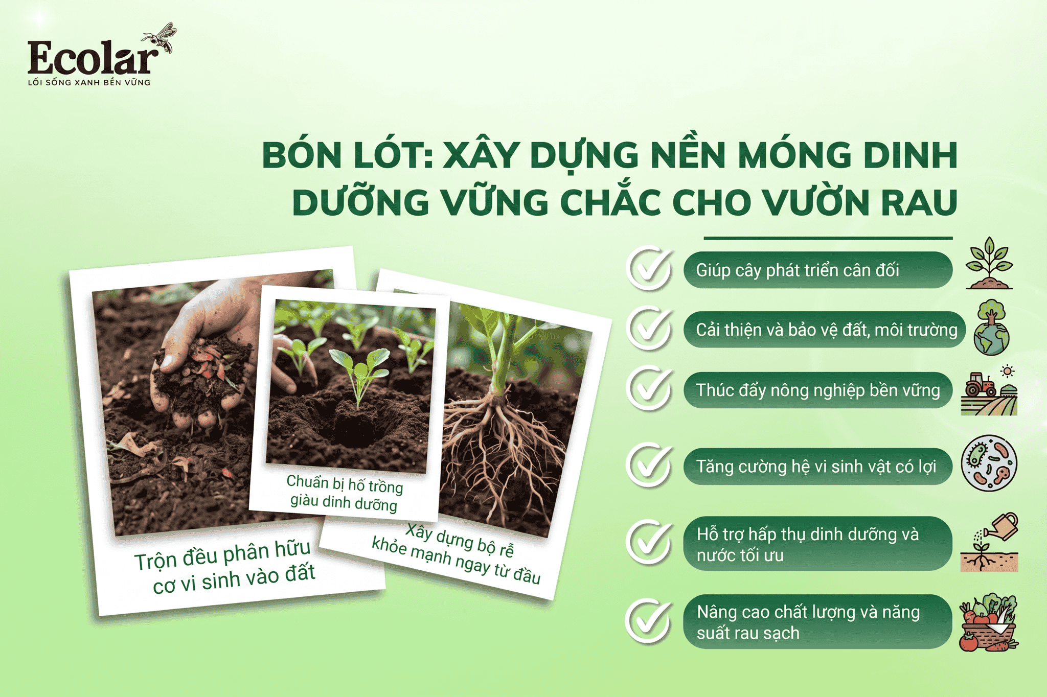 -dinh-duong-vung-chac-truoc-khi-trong_3e38c0f89cbd403cbf4ea88ae3406673.png