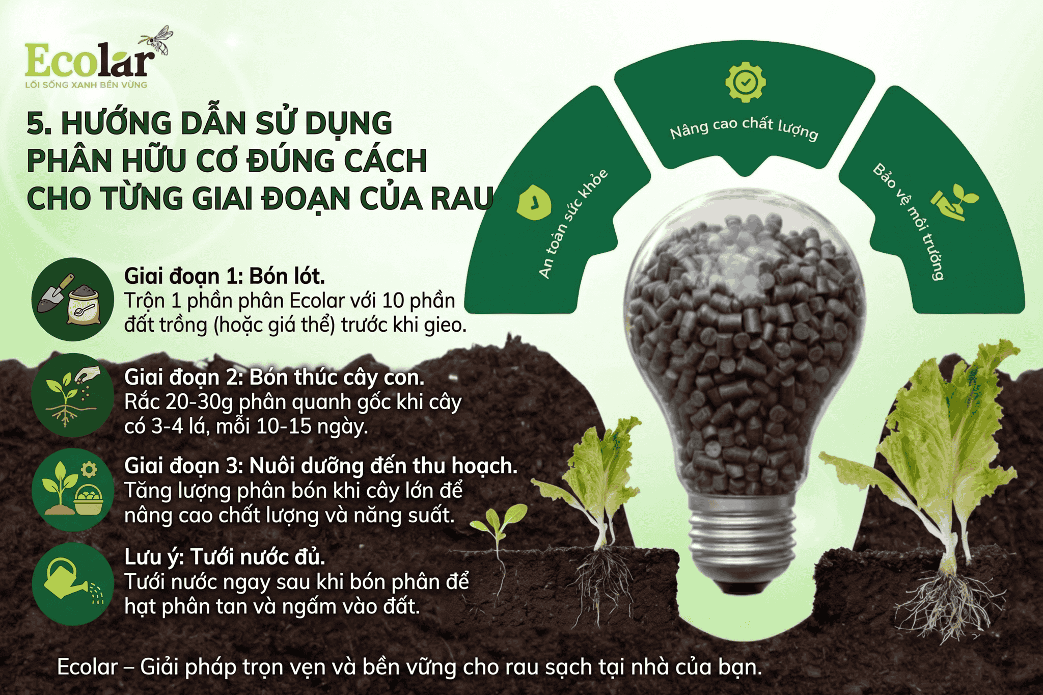 -dung-cach-cho-tung-giai-doan-cua-rau_fbedd8aae5854bed909780657b9bda73 (1).png