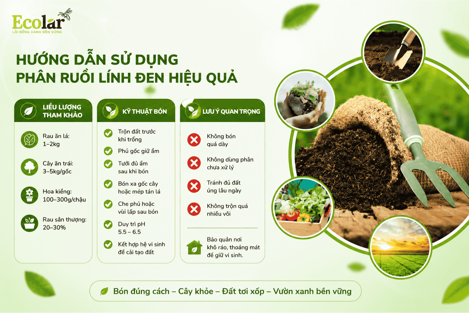 -dung-phan-bon-ruoi-linh-den-hieu-qua_09fc424630cf4fe4b23d925e2012ee1a.png