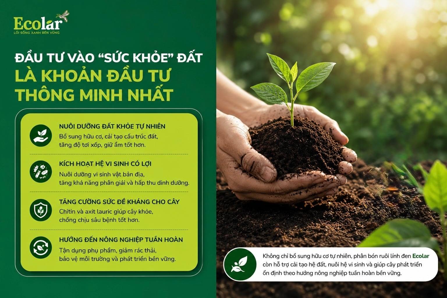 e-dat-la-khoan-dau-tu-thong-minh-nhat_6540f520ff6740f48e283e326e1721e0 (1).jpg