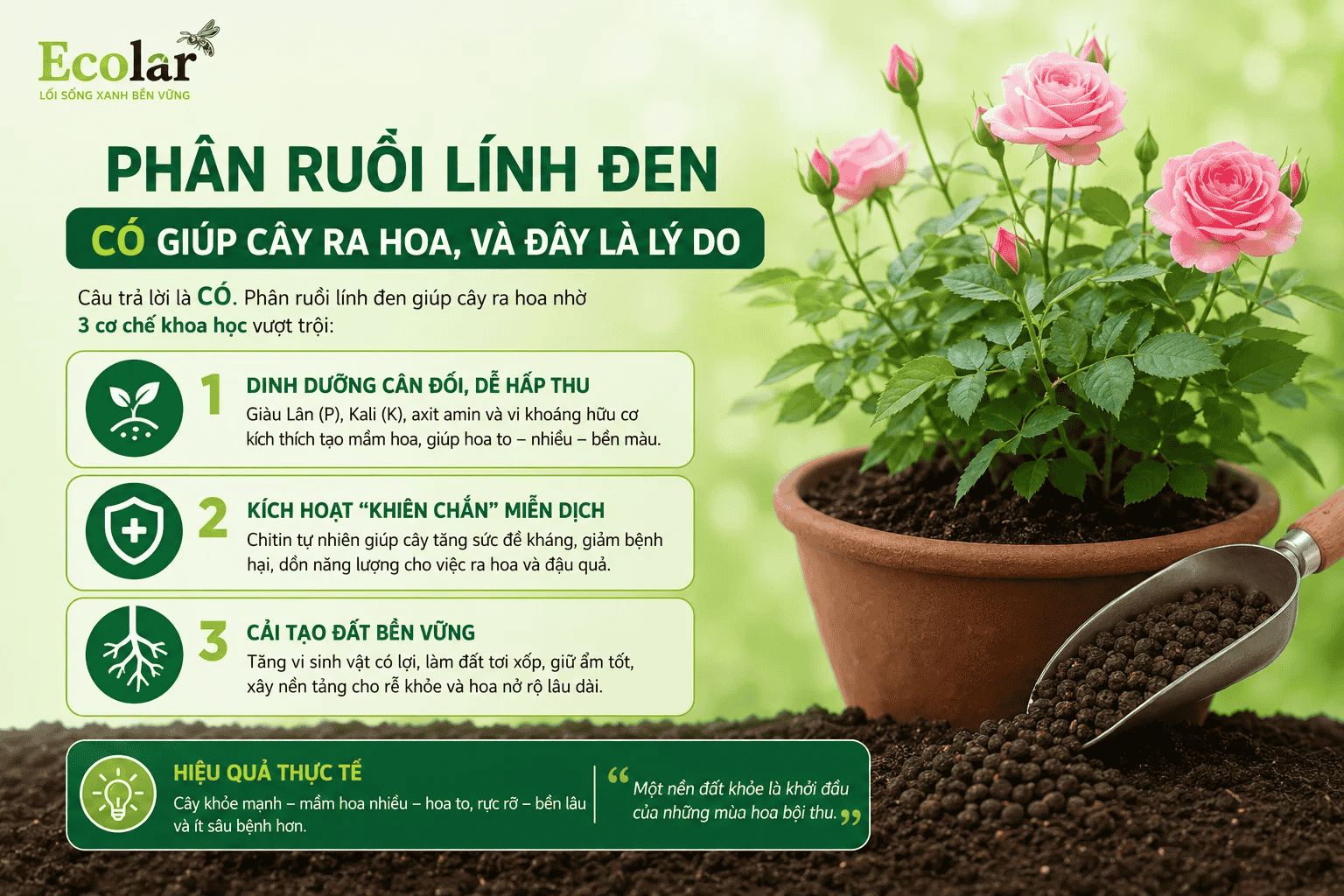 en-co-giup-cay-ra-hoa-va-day-la-ly-do_f833c6fc6faf4627973a66b5dc26ef22 (1).png