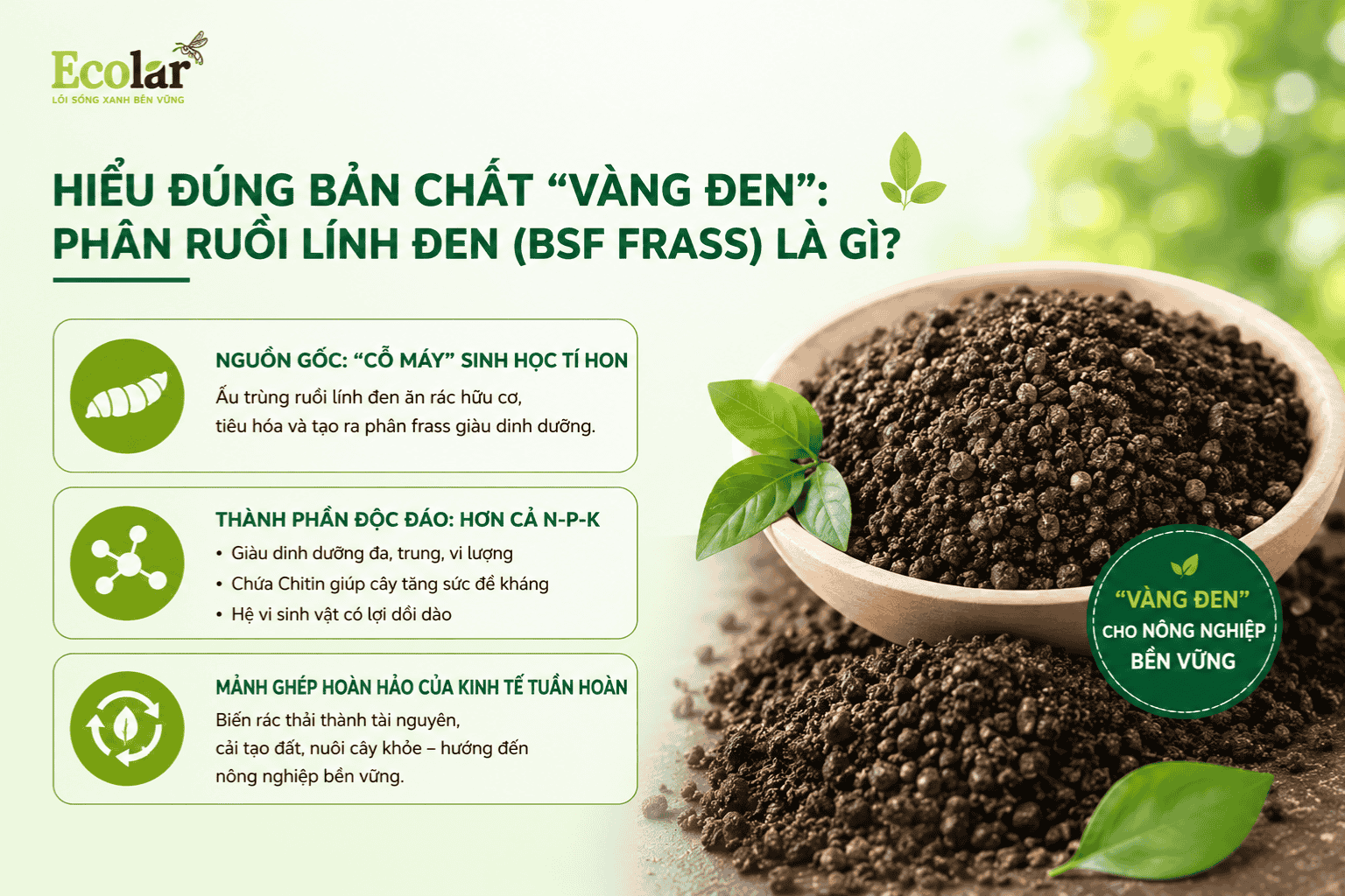 en-phan-ruoi-linh-den-bsf-frass-la-gi_fbaf3374ac3b483b95b7befefe8f3bb7 (1).png
