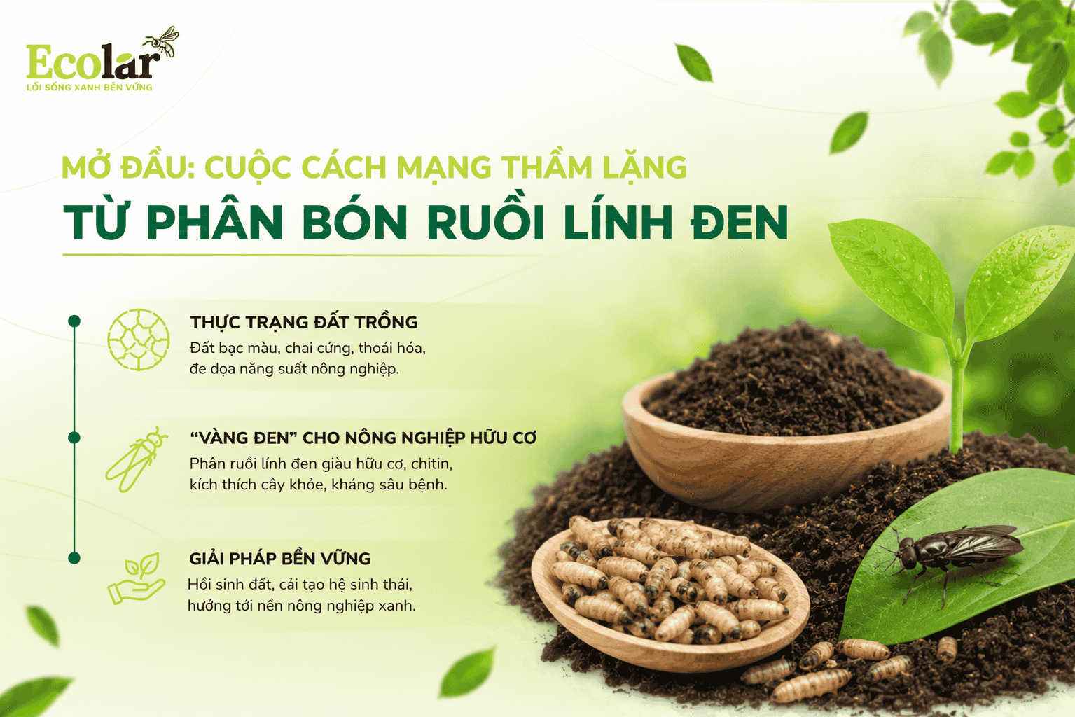g-tham-lang-tu-phan-bon-ruoi-linh-den_5811a65919974717a898ecf1598e55b3-png.166216