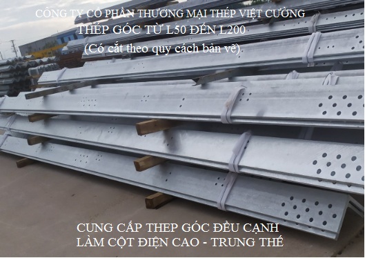 gia thep goc ma kem nhung nong nam 2024.jpg