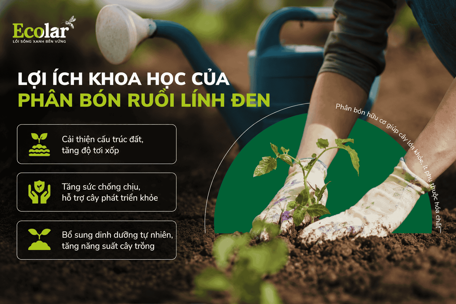 h-khoa-hoc-cua-phan-bon-ruoi-linh-den_ed72764f403f48d985e97954235f4f42.png