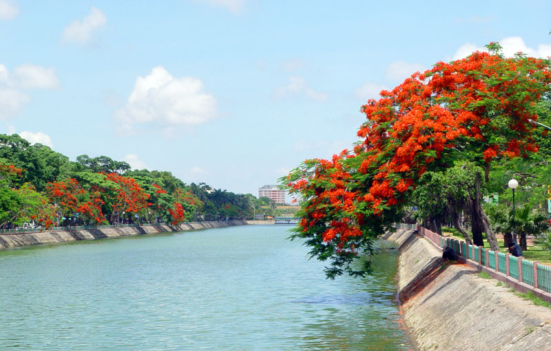 Hai-Phong-tp-hoa-Phuong-do.jpg