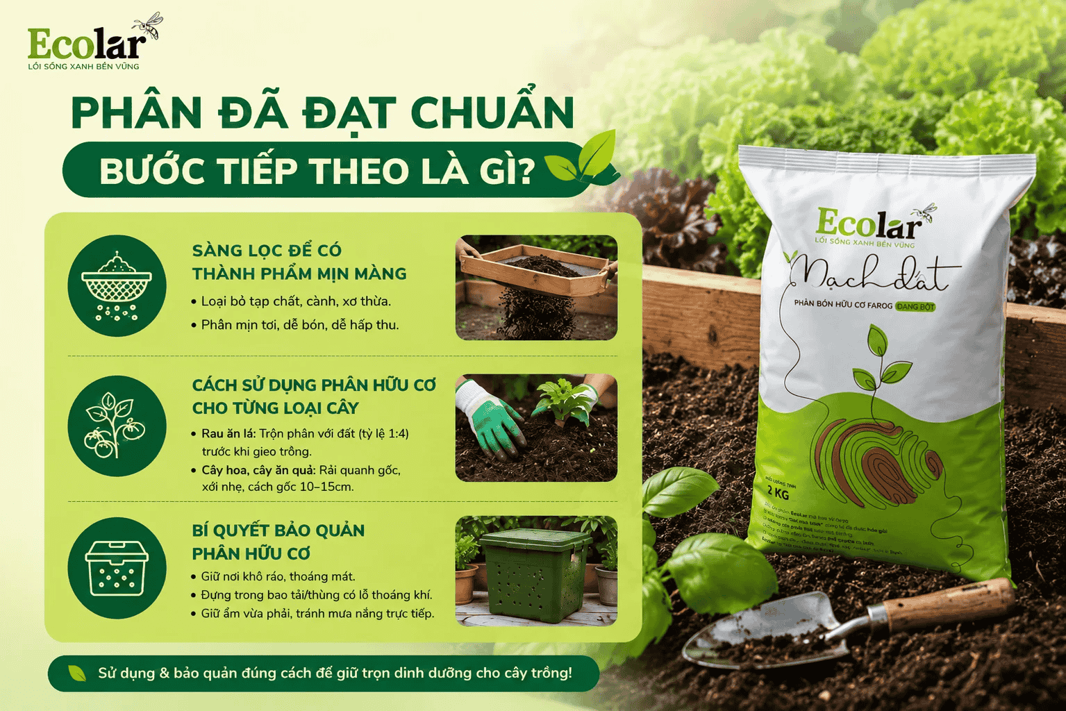 han-da-dat-chuan-buoc-tiep-theo-la-gi_82a022020b2941cd98d79bdc57c4353f (1).png