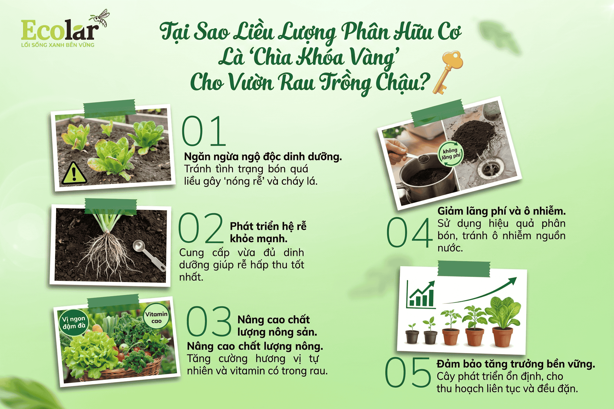 hia-khoa-vang-cho-vuon-rau-trong-chau_8b3103efaa90493182101c36b9dfcaa3 (1).png