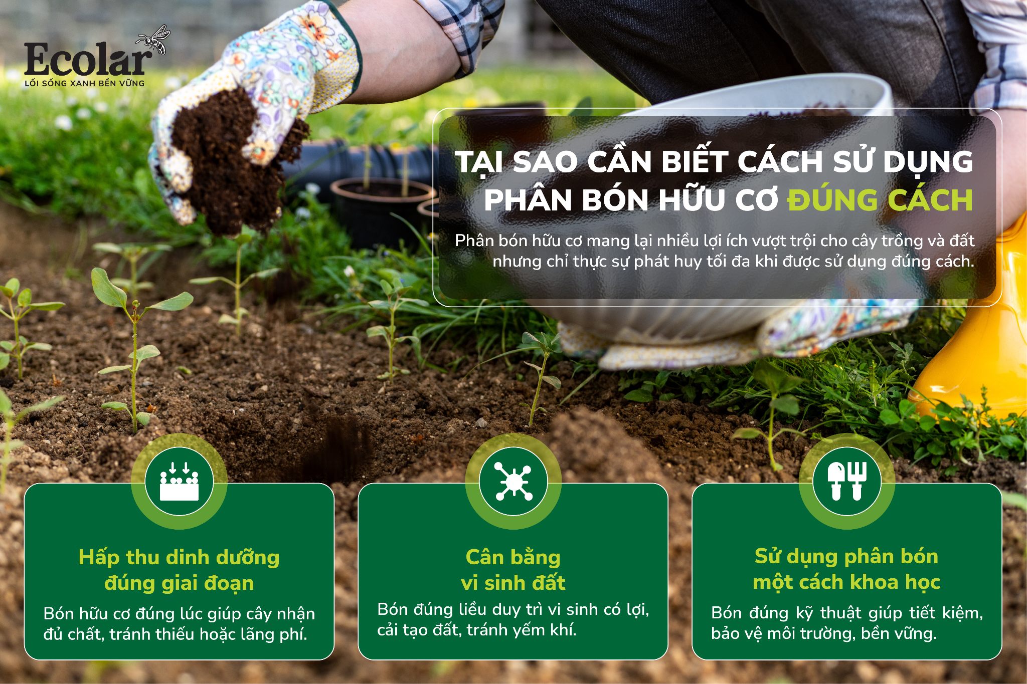 hiểu và sử dụng đúng.jpg