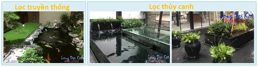 Hình thức lọc - 900.jpg