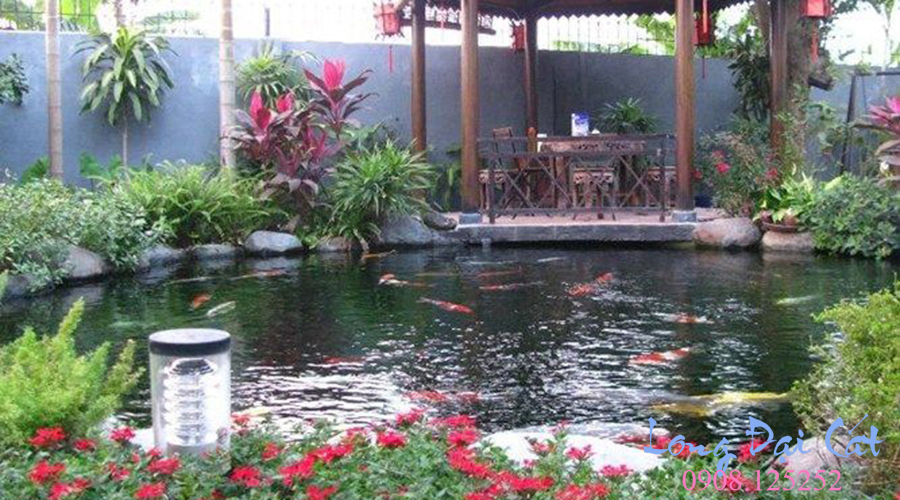 Hồ cá koi M09.jpg