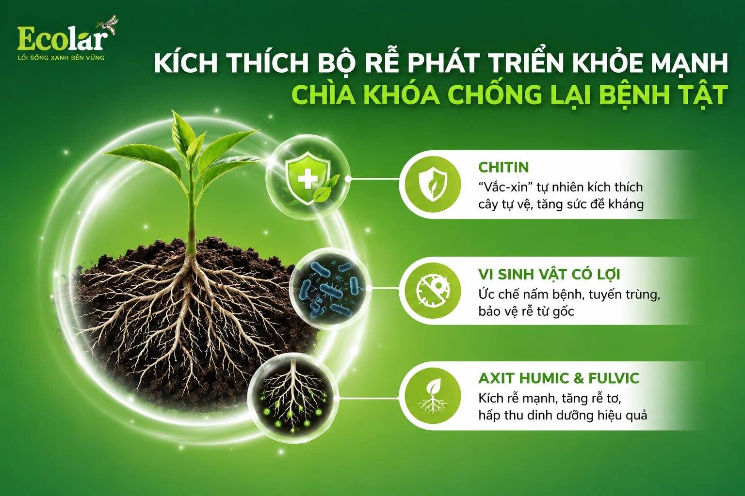 hoe-manh-chia-khoa-chong-lai-benh-tat_cb8c21739ad34bd5ba4e47b642ff613b.jpg