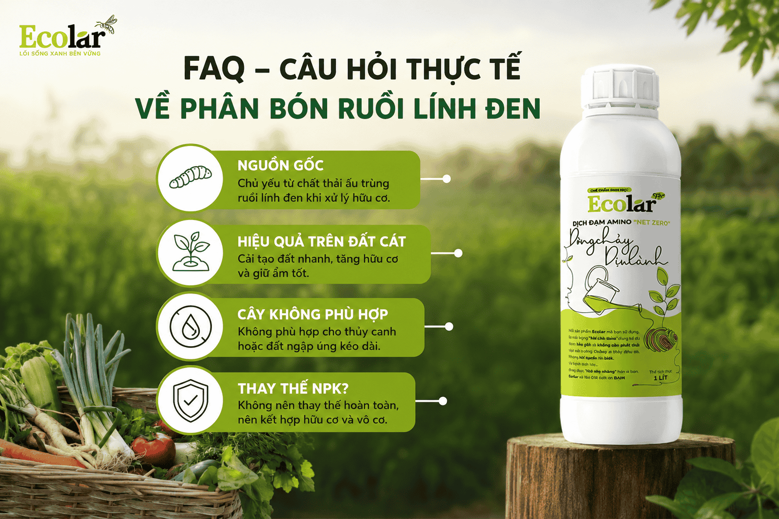 hoi-thuc-te-ve-phan-bon-ruoi-linh-den_ece70258ec7b426c87b327127c249776.png