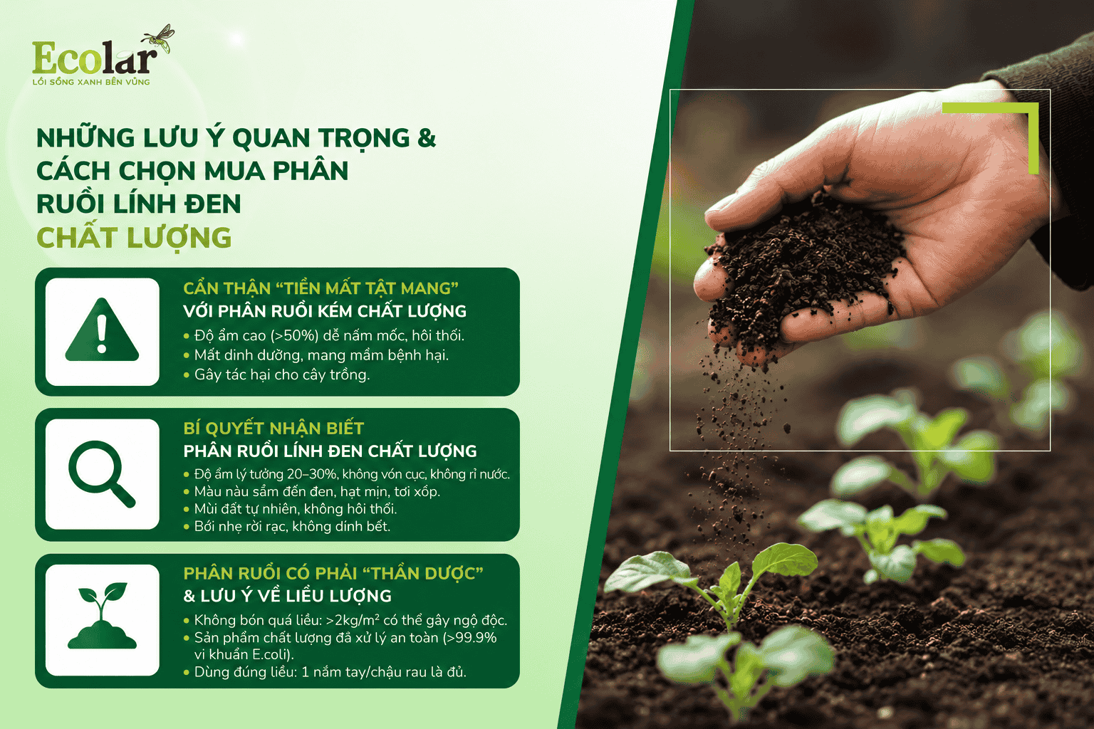hon-mua-phan-ruoi-linh-den-chat-luong_98cbd04fdc4d43f794619785949f6759 (1).png