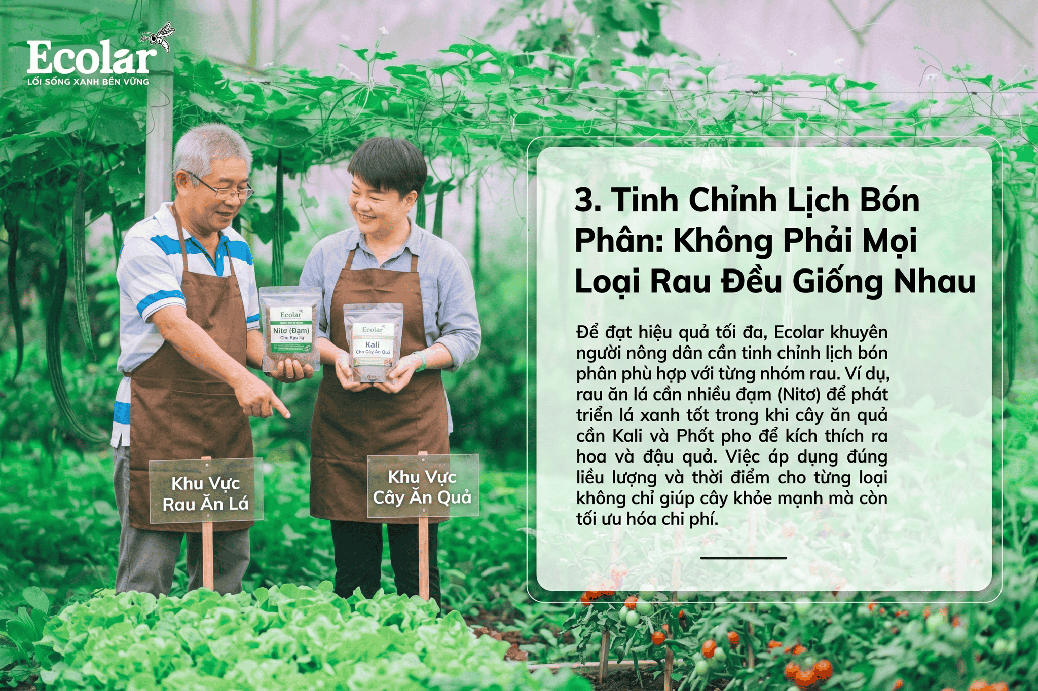 hong-phai-moi-loai-rau-deu-giong-nhau_6c3e89f390a9405d81bb456479eaa554 (1).png