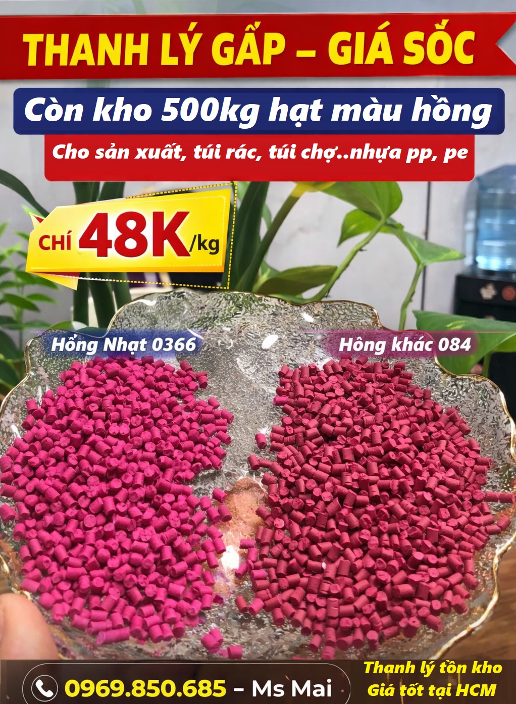 Hồng-thanh lý 48k.jpg