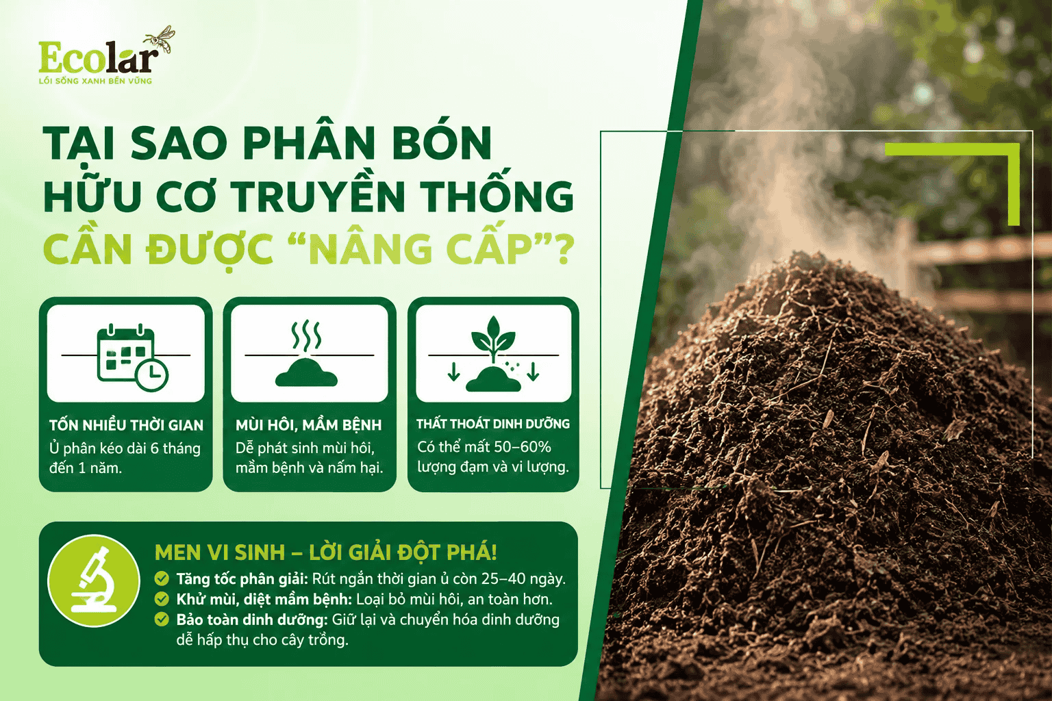 huu-co-truyen-thong-can-duoc-nang-cap_7cd559e39f254a5b8a657b3e40182548 (1).png
