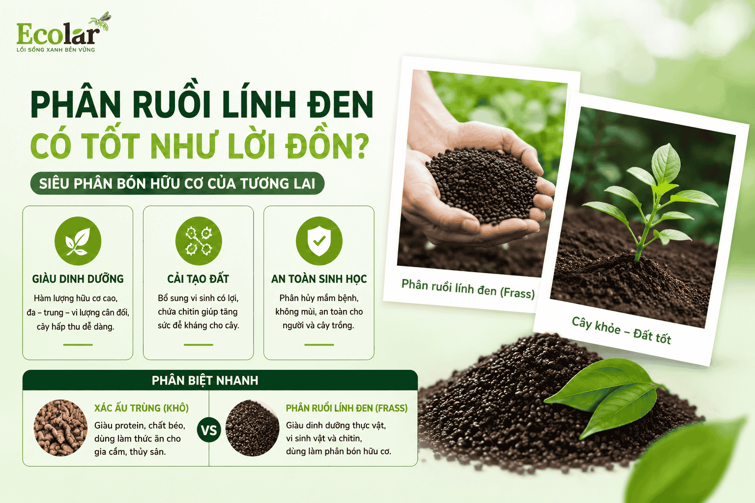 i-linh-den-co-thuc-su-tot-nhu-loi-don_d98689e3890247348f0759b3018a8a26 (1).png
