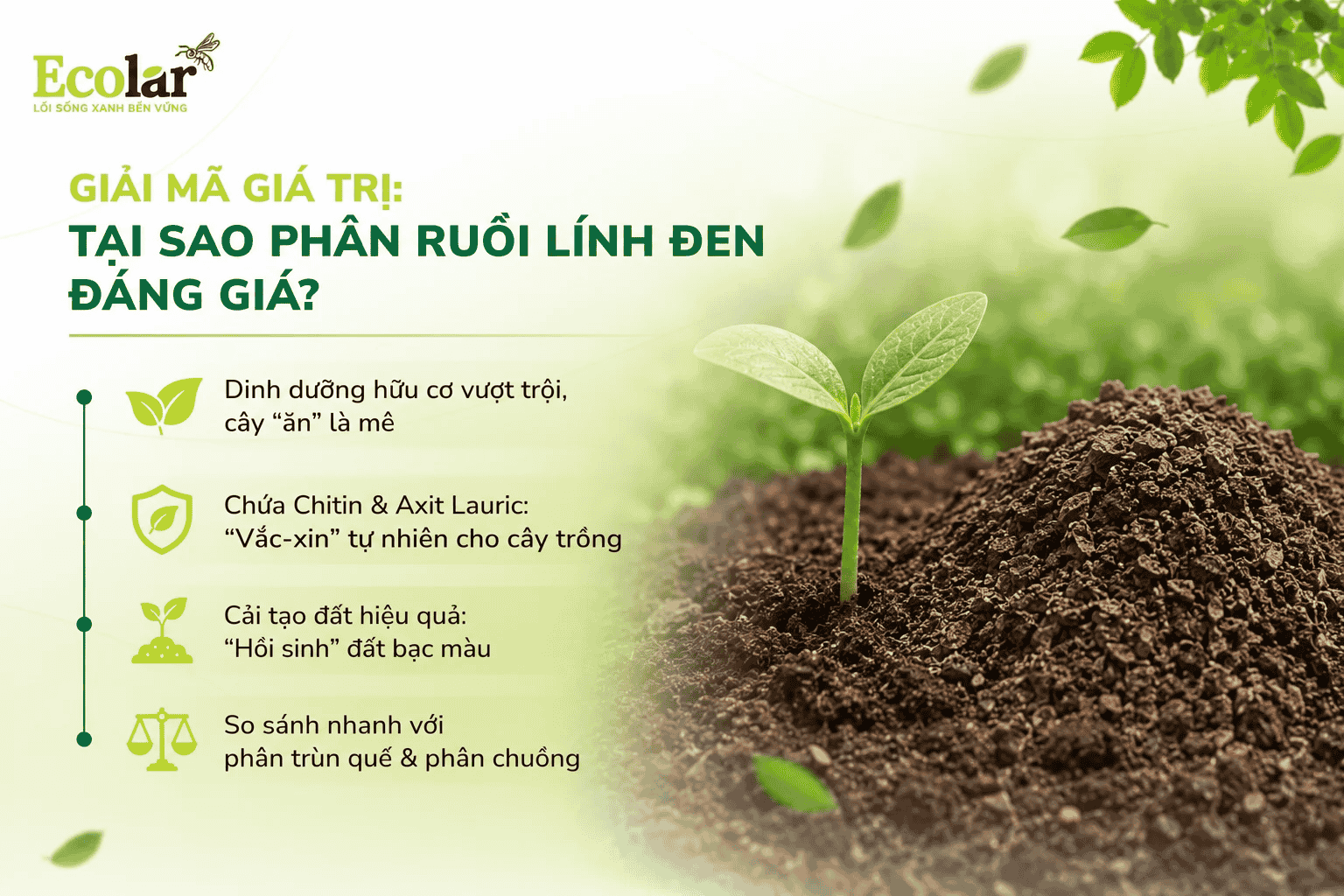 i-tai-sao-phan-ruoi-linh-den-dang-gia_bf82d760dedd4c1b950ce78b4784f740 (1).png