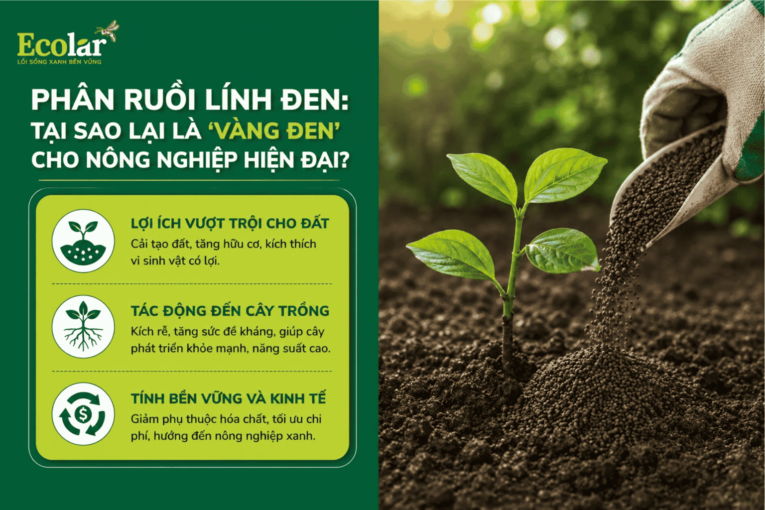 -la-vang-den-cho-nong-nghiep-hien-dai_c14676c86d9d4d478b431d514232d0b2 (1).png